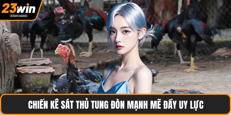 Chiến kê sát thủ tung đòn mạnh mẽ đầy uy lực