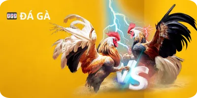đá gà 23win