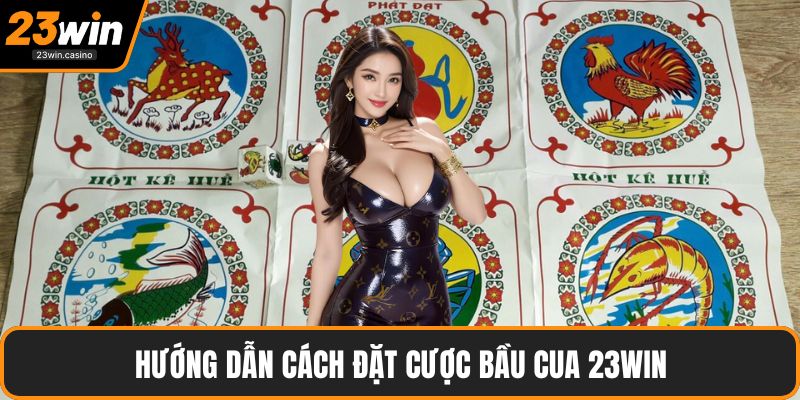 Hướng dẫn cách đặt cược bầu cua 23win