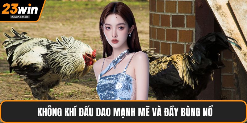  Không khí đấu dao mạnh mẽ và đầy bùng nổ