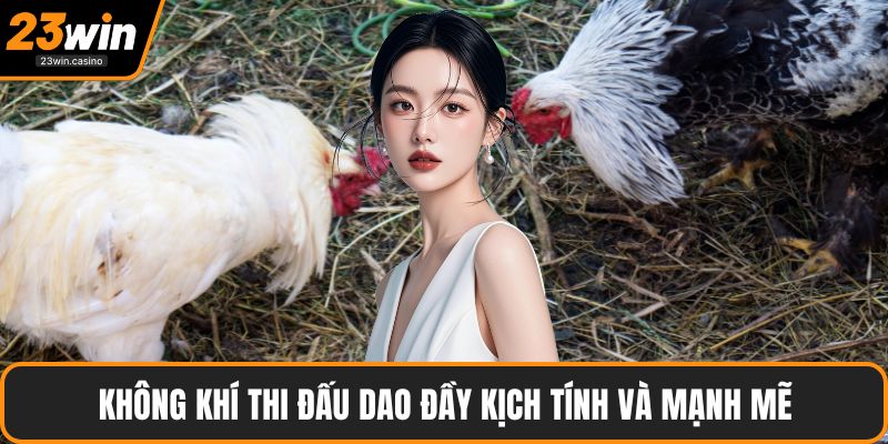 Không khí thi đấu dao đầy kịch tính và mạnh mẽ