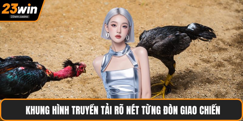  Khung hình truyền tải rõ nét từng đòn giao chiến
