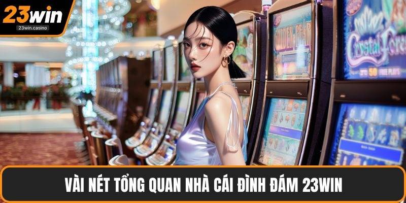 Vài nét tổng quan nhà cái đình đám 23win